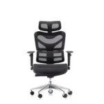 كرسى مدير شبك طبى